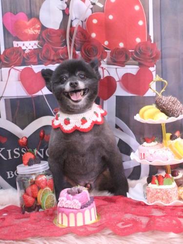 20250225チョビくん